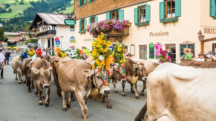 Almabtriebe im Brixental